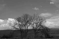 WhatsApp-Image-2025-08-21-at-09.24.39-2