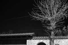 WhatsApp-Image-2025-08-21-at-09.24.39-3