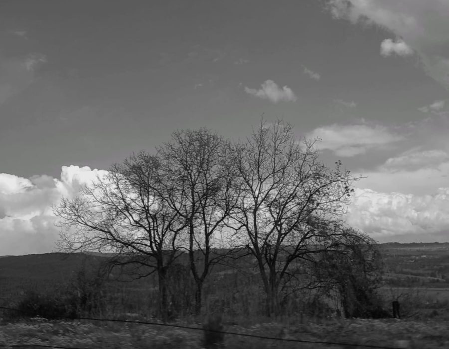 WhatsApp Image 2025-08-21 at 09.24.39 (2)