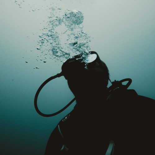 pexels-maxzaharenkov-33201655