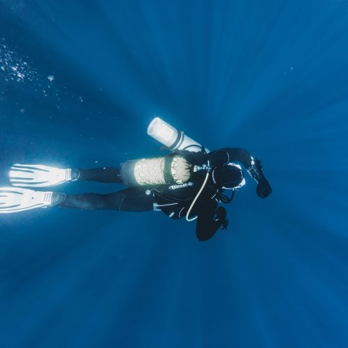 pexels-pspov-3113227